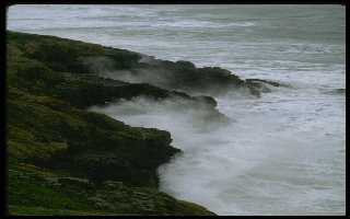 Try to surf here